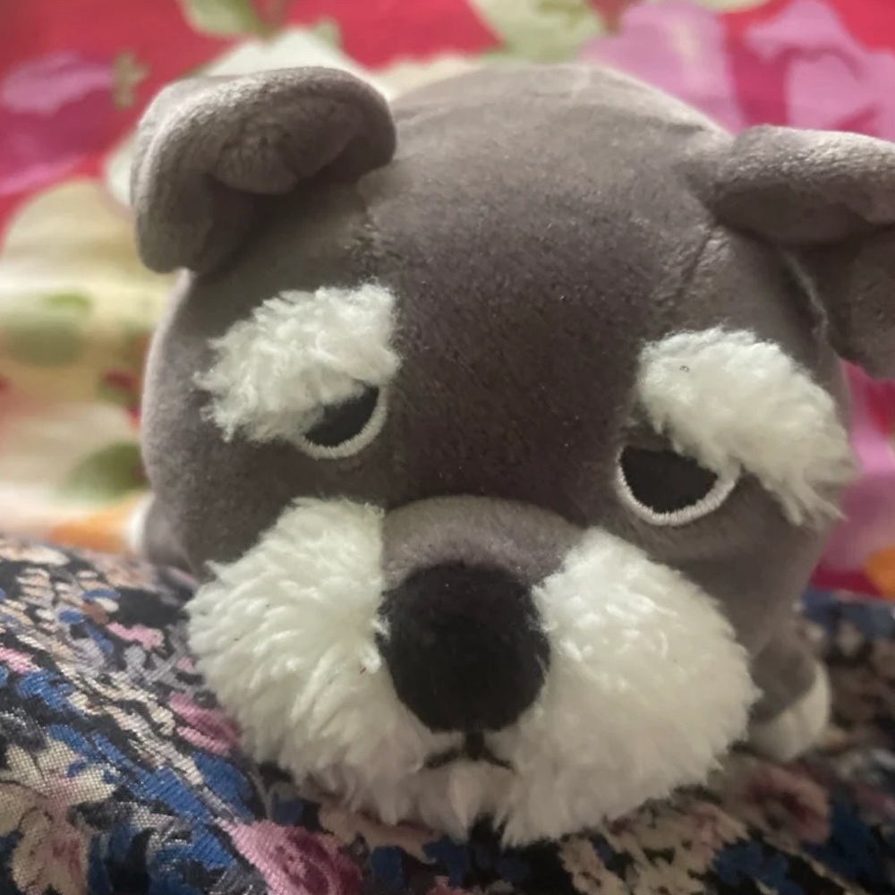 Walrus plushie squishmellow